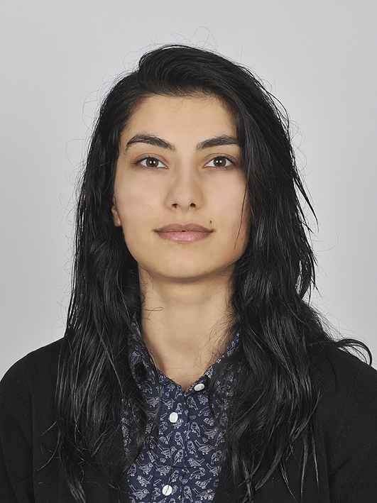 PINAR &Ouml;ZDEMİR