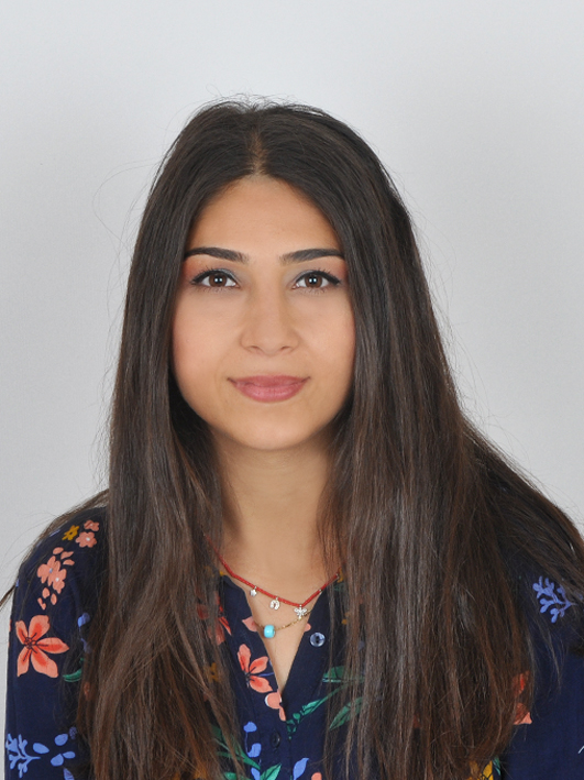 EL&Ccedil;İN GİRGİN