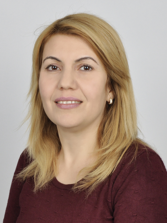 &Ouml;ZLEM DEMİR