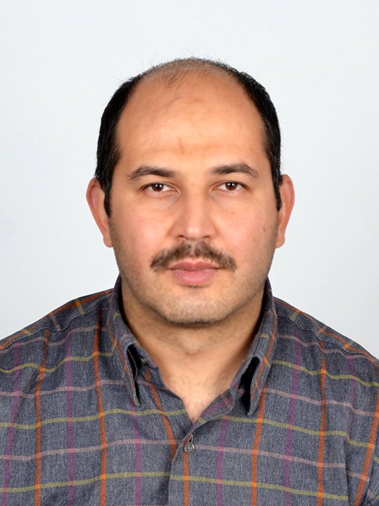 MESUT &Ccedil;ELİKTAŞ