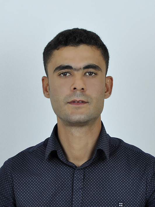 H&Uuml;SEYİN ARSLAN