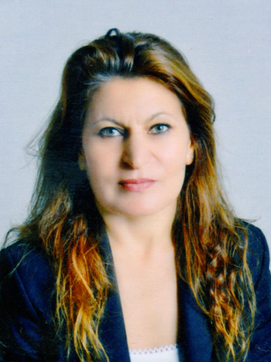 H&Uuml;LYA ALKAN